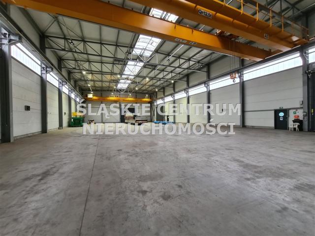 Lokal wynajmę, Dąbrowa Górnicza, Tworzeń, Kasprzaka, 1297 m2, cena: 38 910 zł