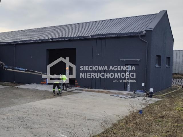 Lokal wynajmę, Dobrzewino, 250 m2, cena: 10 000 zł