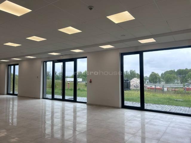 Lokal wynajmę, Dorotowo, 295 m2, cena: 7 257 zł