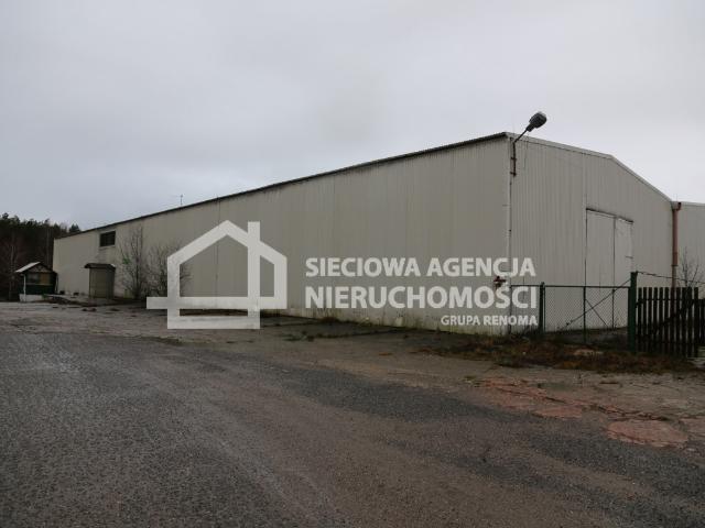 Lokal wynajmę, Łebieniec, 1811 m2, cena: 21 732 zł