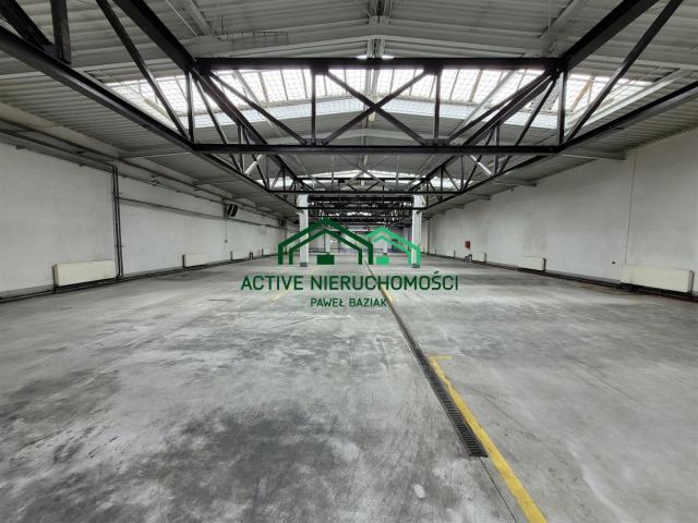 Lokal wynajmę, Kraków, Nowa Huta, 1050 m2, cena: 44 100 zł