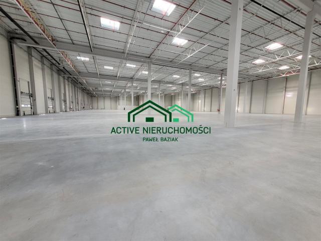 Lokal wynajmę, Kraków, Nowa Huta, 3000 m2, cena: 69 000 zł