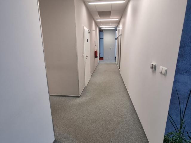 Lokal wynajmę, Kraków, Podgórze, Wadowicka, 353 m2, cena: 20 970 zł