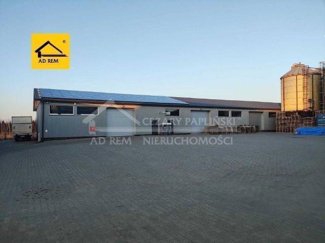 Lokal wynajmę, Kurów, 9000 m2, cena: 16 200 zł