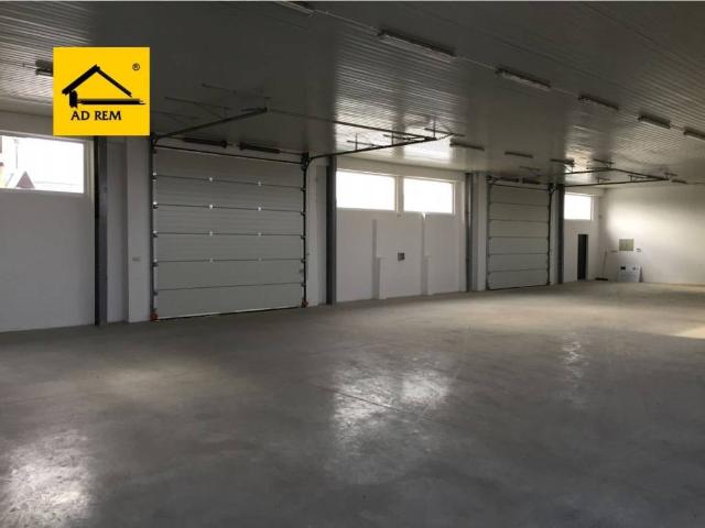Lokal wynajmę, Kurów, 900 m2, cena: 16 200 zł