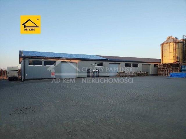 Lokal wynajmę, Kurów, 900 m2, cena: 16 200 zł