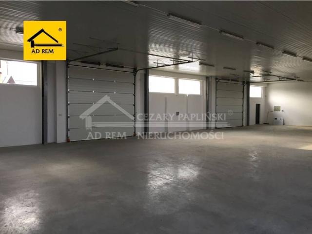 Lokal wynajmę, Kurów, 900 m2, cena: 19 000 zł