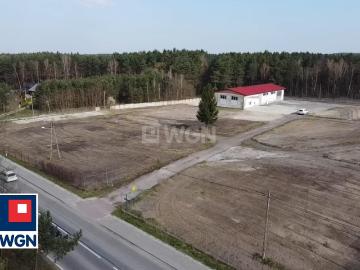 Lokal wynajmę, Kurzelów, Kurzelów, Henryka Sienkiewicza, 5049 m2, cena: 3 900 zł