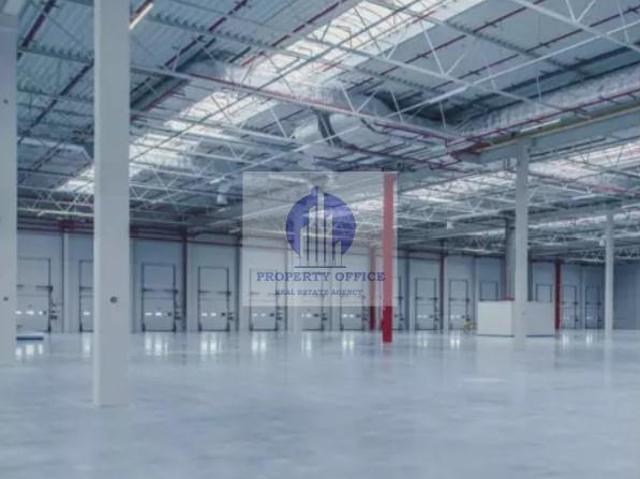 Lokal wynajmę, Halinów, 1620 m2, cena: 8 019 zł