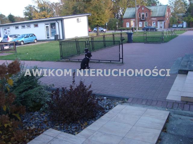 Lokal wynajmę, Jaktorów, Jaktorów, 20 m2, cena: 2 000 zł
