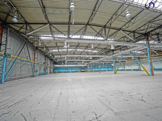 Lokal wynajmę, Mikołów, Mikołów, 6100 m2, cena: 134 200 zł