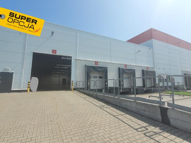 Lokal wynajmę, Niepołomice, 1950 m2, cena: 9 750 zł