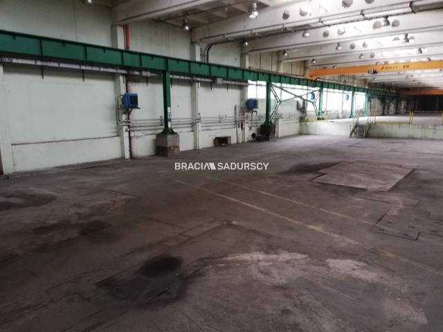 Lokal wynajmę, Niepołomice, Niepołomice, 2120 m2, cena: 59 000 zł