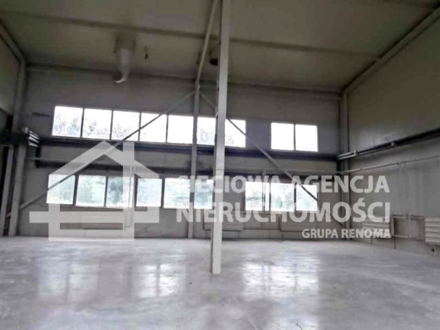 Lokal wynajmę, Pruszcz Gdański, 450 m2, cena: 18 000 zł