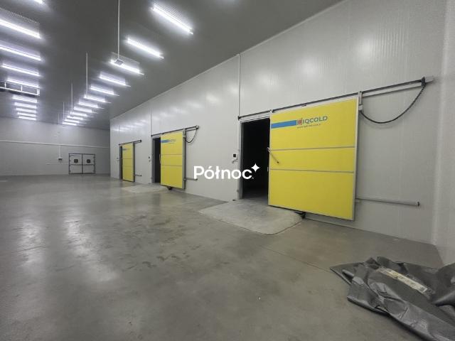 Lokal wynajmę, RADZIEJOWICE, Przemysłowa, 1600 m2, cena: 39 000 zł