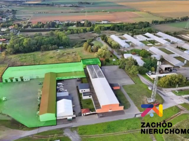 Lokal wynajmę, Wawrów, 2400 m2, cena: 49 000 zł