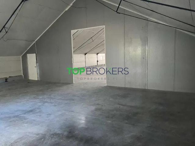 Lokal wynajmę, Warszawa, Białołęka Białołęka Dworska, 600 m2, cena: 20 000 zł