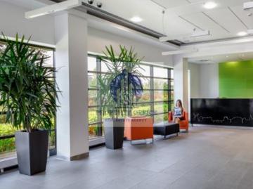 Lokal wynajmę, Warszawa, Ursynów, Kłobucka, 571 m2, cena: 8 851 zł