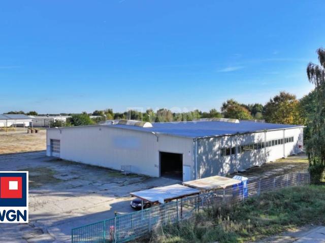 Lokal wynajmę, Witnica, Księdza Józefa Bielaka, 1597 m2, cena: 25 000 zł