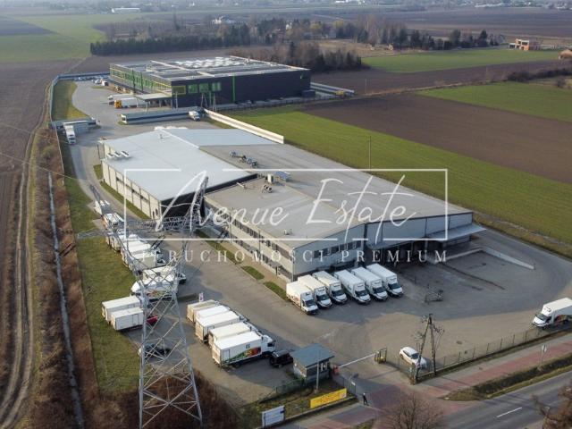 Lokal wynajmę, Wieruchów, 5084 m2, cena: 140 000 zł