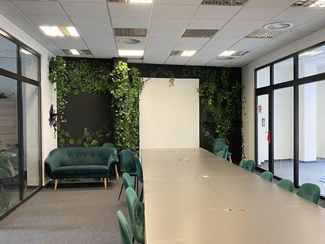 Lokal wynajmę, Wrocław, Stare Miasto, 200 m2, cena: 11 000 zł