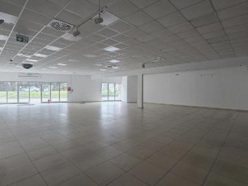 Lokal handlowo usługowy 403 m2 przy głównej ulicy