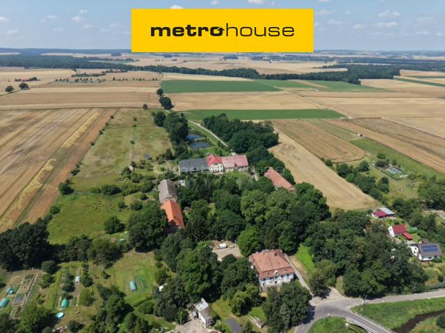 Lokal sprzedam, Zagrodno, 423 m2, cena: 990 000 zł