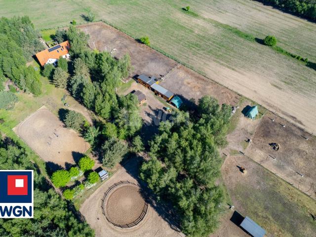 Lokal sprzedam, Zajączkowo, Zajączkowo, 366 m2, cena: 2 600 000 zł