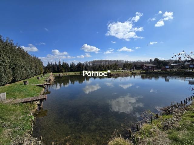 Lokal sprzedam, BOLKOWICE,, 250 m2, cena: 849 000 zł