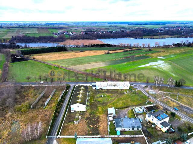 Lokal sprzedam, Bucz, 1022 m2, cena: 849 000 zł