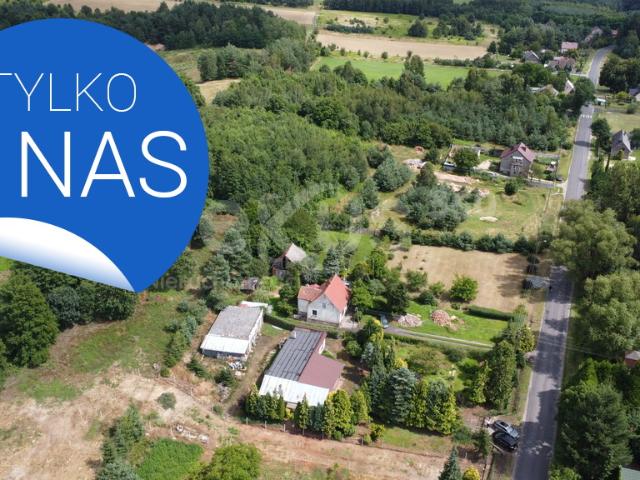 Lokal sprzedam, BUKOWINA SYCOWSKA,, 198 m2, cena: 349 000 zł