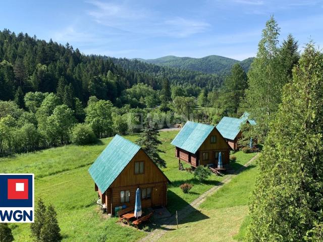 Lokal sprzedam, Dołżyca, Dołżyca, 800 m2, cena: 9 999 000 zł