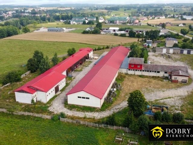 Lokal sprzedam, FILIPÓW,, 20628 m2, cena: 8 700 000 zł