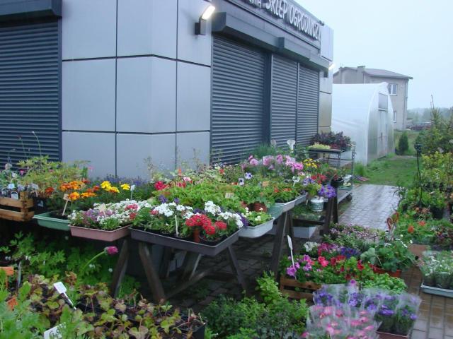 Lokal sprzedam, Jelcz Laskowice, Przy Lesie, 1645 m2, cena: 399 000 zł