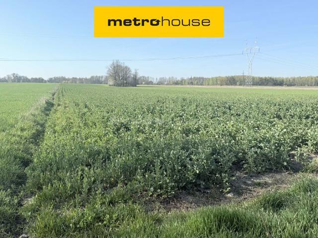 Lokal sprzedam, Krubin, 42800 m2, cena: 369 000 zł