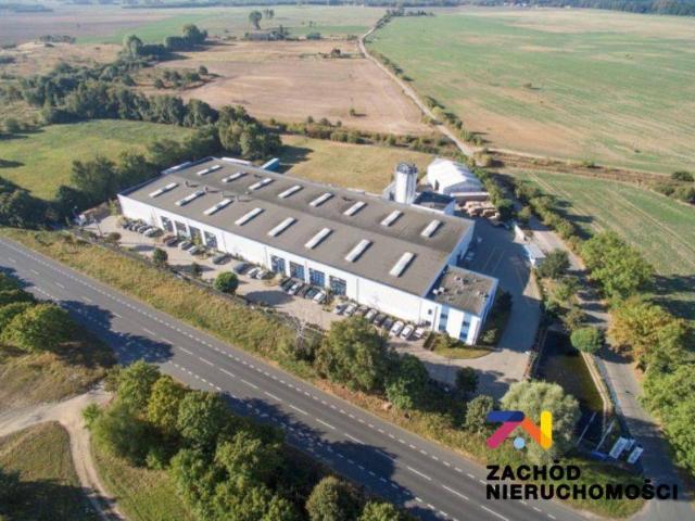 Lokal sprzedam, Lipiany, 4000 m2, cena: 15 900 000 zł
