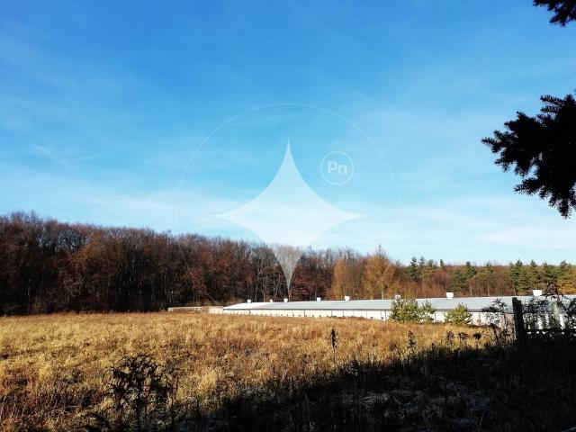 Lokal sprzedam, NAWOJOWA GÓRA,, 49400 m2, cena: 5 200 000 zł