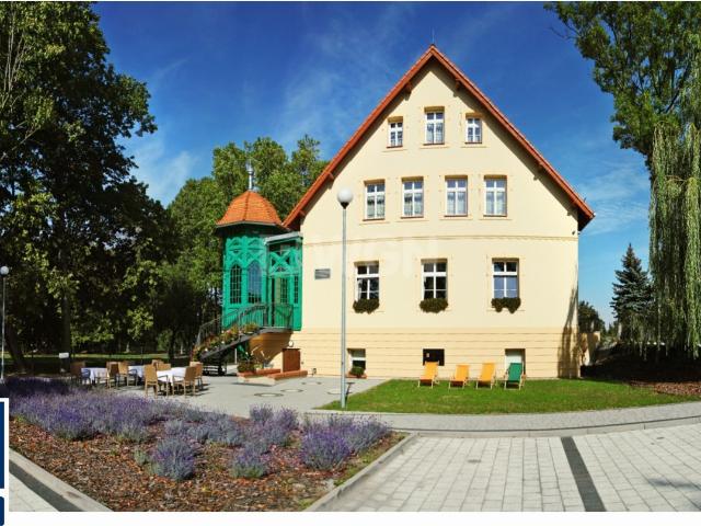 Lokal sprzedam, Oleśnica, Spalice, Kopernika, 962 m2, cena: 9 300 000 zł