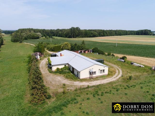 Lokal sprzedam, OLSZEWEK,, 600 m2, cena: 268 000 zł