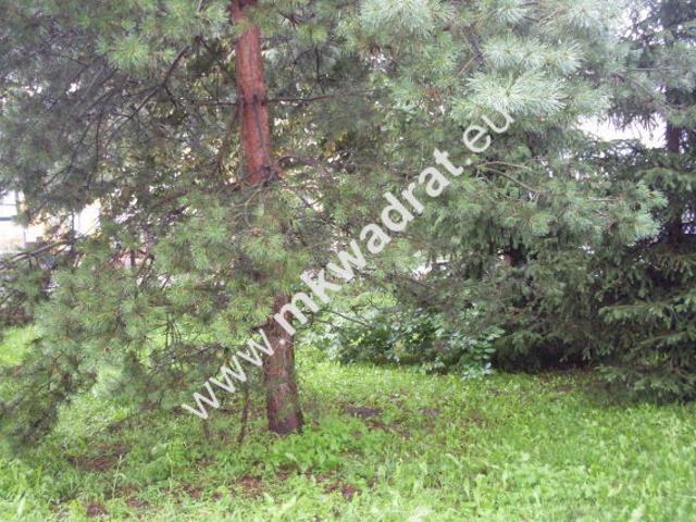 Lokal sprzedam, PASS,, 113 m2, cena: 850 000 zł