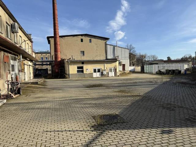 Lokal sprzedam, PRUDNIK, Prężyńska, 22139 m2, cena: 3 995 229 zł
