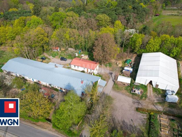 Lokal sprzedam, Szamocin, Polna, 1271 m2, cena: 2 450 000 zł