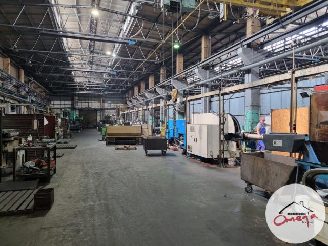 Lokal sprzedam, Szczekociny, 8802 m2, cena: 11 500 000 zł