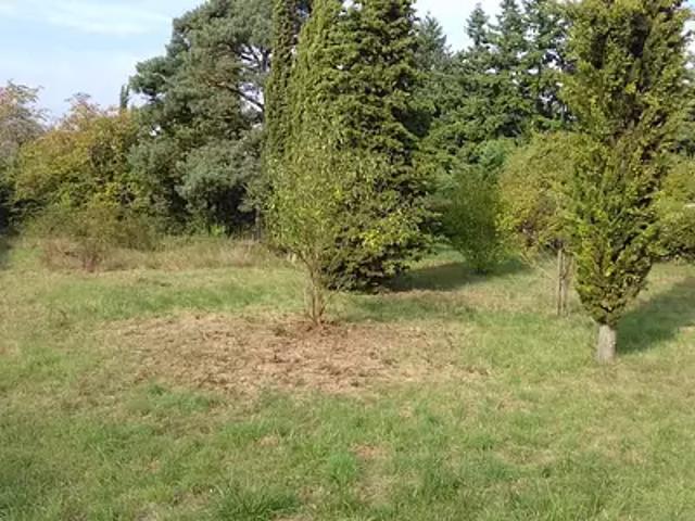 Lorrez le Bocage Préaux 77710 Programme neuf maison neuf à vendre 5 pièces