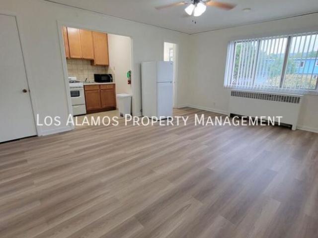 Los Alamos NM 87544 102544456