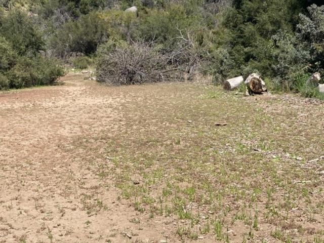 LOS MAITENES, UBICADA EN EL SECTOR LO MARÍN