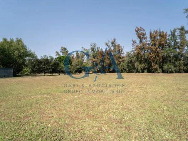 LOS SAUCES TERRENO EN COTO PRIVADO