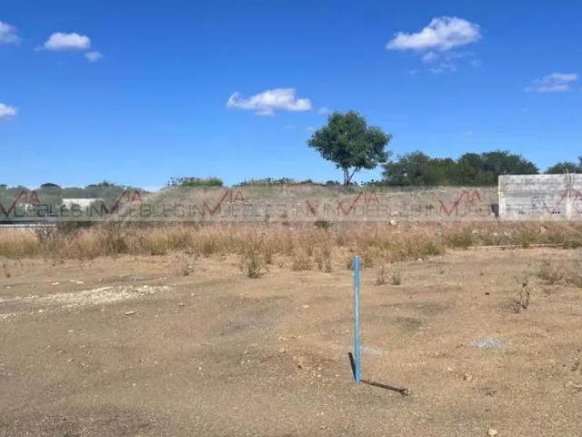 Los Palo Blanco Montemorelos
