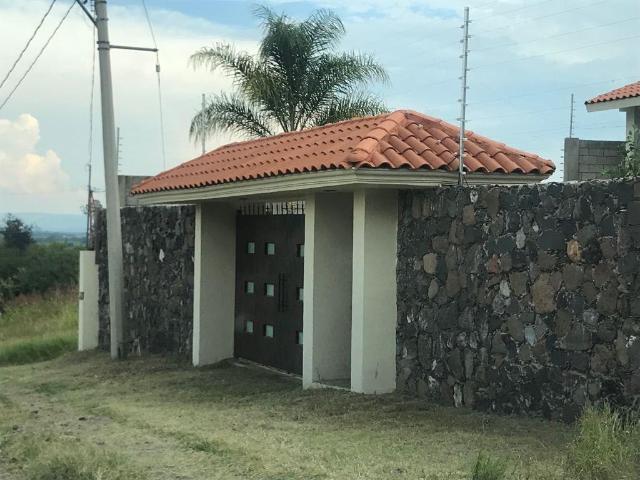 Los pinos