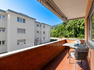 Arcegno, Losone, Circolo dell'Isole, Bezirk Locarno, Tessin